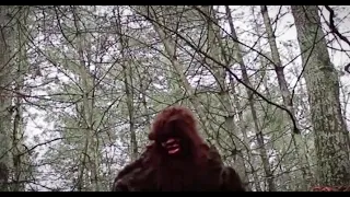 13 New Year's Scariest NEVER Before SEEN Images of BIGFOOT Caught On Camera!!