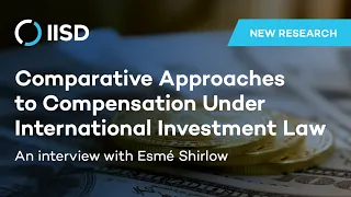 Comparative Approaches to Compensation Under International Investment Law