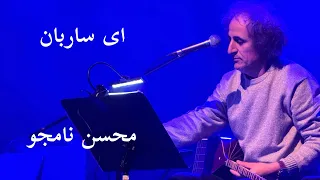 Ey Sareban Mohsen Namjoo Live 2024 - ای ساربان محسن نامجو