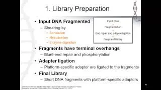 Next Generational Sequencing: Basic Steps of NGS (3)