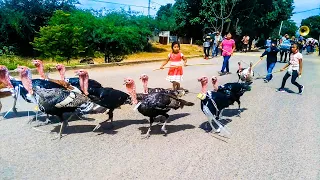 ¡¡Sorprendente !!!  Pedida de una mujer en Oaxaca #BODAS #NOVIAS #OAXACA #GUELAGUETZA #FIESTAS #AVES