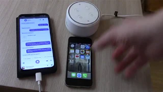 Сравнение голосовых помощников : Siri (Apple) и Алиса (Яндекс)