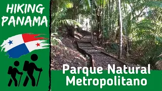 Hiking Panama: Parque Natural Metropolitano