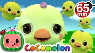 Five Little Birds 2 + More Nursery Rhymes & Kids Songs - CoComelon