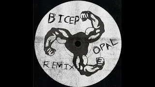 peciB - lapO (Wukah Remix)