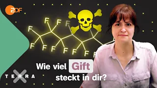 Umweltgifte: Wie schlimm sind Weichmacher, PFAs & Co? | Terra Xplore mit Geologin Thora Schubert