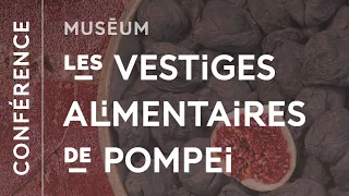 Les vestiges alimentaires de Pompéi