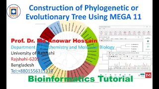 Construction of Phylogenetic tree using MEGA11