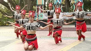 Pristine Yunnan: Celebrating Munao Zongge Festival with the Jingpo people