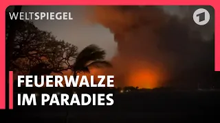 Hawaii nach dem extremen Feuer | Weltspiegel