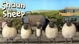 Shaun the Sheep - River Dance (OFFICIAL VIDEO)