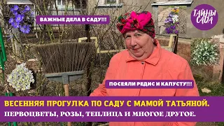 ВЕСНА. ВАЖНЫЕ ДЕЛА В САДУ. ПРОГУЛКА ПО САДУ. ПЕРВОЦВЕТЫ, РОЗЫ, ТЕПЛИЦА И МНОГОЕ ДРУГОЕ. НАШ САД!!!