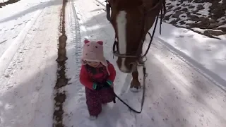 This Tiny Girl Dropped The Reins While Leading A Horse, But The Mare’s Reaction Has Melted Hearts