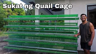 Quail Farm | Sukat ng aking Quail Cage | 25,000 Pesos