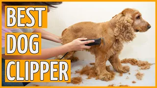 Best Dog Clippers ⭐️ (TOP 7) Dog Grooming Clipper Reviews in 2020 ⭐️