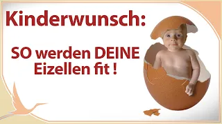 Kinderwunsch: So werden DEINE Eizellen fit | 🤰🏻 (Heidi Gößlinghoff)
