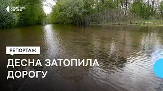 Людей перевозять човном: на Чернігівщині затопило дорогу, яка з’єднує п'ять сіл з центром громади