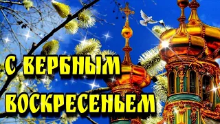 🙏28  апреля  Вербное Воскресенье🙏Вход Господень в Иерусалим🙏Красивая музыкальная открытка🌿