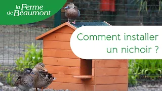 Comment installer un nichoir pour ses canards ? • La Ferme de Beaumont