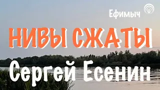 Ефимыч - Нивы сжаты... (С.А. Есенин)