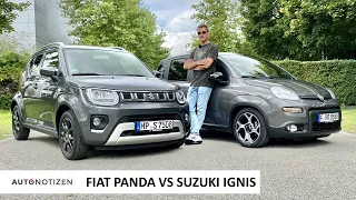 Fiat Panda oder Suzuki Ignis? Kleinwagen im Vegleich | Test | Review | 2021