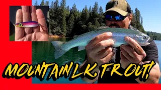 How To Catch Trout In A Mountain Lake, Step By Step! #fishing #trolling #trout #troutfishingbasics