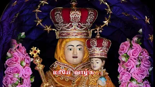 LIVE - 26-10-2022 | 12.00 Noon Tamil Mass | Our Lady of Good Health Vailankanni Shrine Basilica.