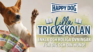 LILLA TRICKSKOLAN 🐕 | Träna tricks med din hund - Enkla & roliga övningar - Steg för steg