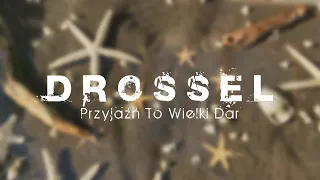 Drossel - Przyjaźń To Wielki Dar (NOWOŚĆ 2022)