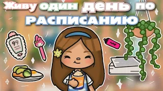 •|🪴💝🚿Живу один день по расписанию🧺🥞🧼@tocameris |• Toca life World/Utca toca