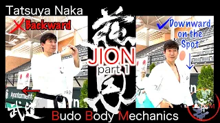 Jion Part 1:  Tatsuya Naka Sensei's Budo Body Mechanics