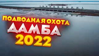 Подводная охота - Дамба 14.04.2022