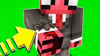 FAKİR'in ELİNİ ÖRÜMCEK ISIRDI! 😱 - Minecraft