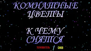 ТОЛКОВАТЕЛЬ СНОВ ~ КОМНАТНЫЕ ЦВЕТЫ ВО СНЕ, К ЧЕМУ СНЯТСЯ  СОННИК YOUTUBE. 🌺🌺🌺