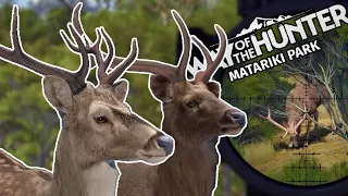 HUNTING GIANT 5 STAR SAMBAR & SIKA STAGS ON MATARIKI PARK IN WAY OF THE HUNTER! + HOTSPOT LOCATIONS!