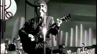 Roy Orbison - "Blue Bayou" from Black and White Night