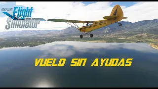 Microsoft Flight Simulator: Vuelo sin Ayudas