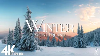 Winter 4K Relaxation Film - Meditation Relaxing Music | Winter Soundscape | Nature Sounds 4K UHD