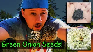 Saving Green Onions Seeds - Garden Quickie Episode 3