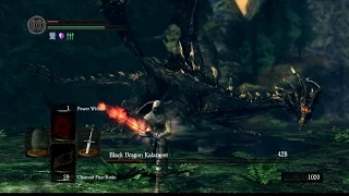 Dark Souls - Black Dragon Kalameet Boss Fight - No Hit