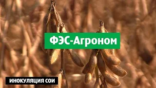 Инокуляция сои