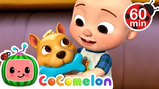 Bingo Is His Name-O 🐶 | COCOMELON 🍉 | Lullabies & Nursery Rhymes for Kids | Sleep Baby Songs