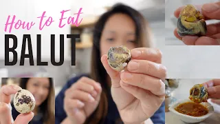How to Eat Balut | Mini Fertilized Eggs