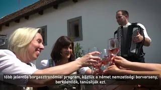 Ungarndeutscher Lehrpfad in Bogdan / Német nemzetiségi tanösvény Dunabogdányban