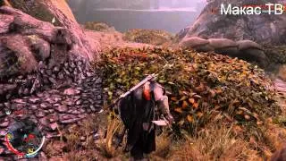 Обзор Графы в игре Middle Earth Shadow of Mordor