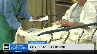 COVID cases climb in Northern California as new variant spreads