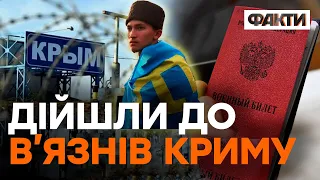 МАСОВА мобілізація в КРИМУ: кримські татари ПІД ПРИЦІЛОМ - Ташева