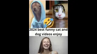 Best funny cats,dogs video in 2024