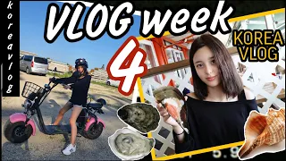 От уборки до путешествия l 집청소 끝내고 여행가기! l TRIP TO JEBU ISLAND WITH SOPHIE l WEEKLY VLOG 4