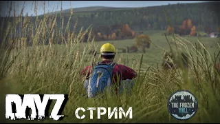 ВЫЖИВАЛИТИ DAYZ СТРИМ. FROZEN WALL.